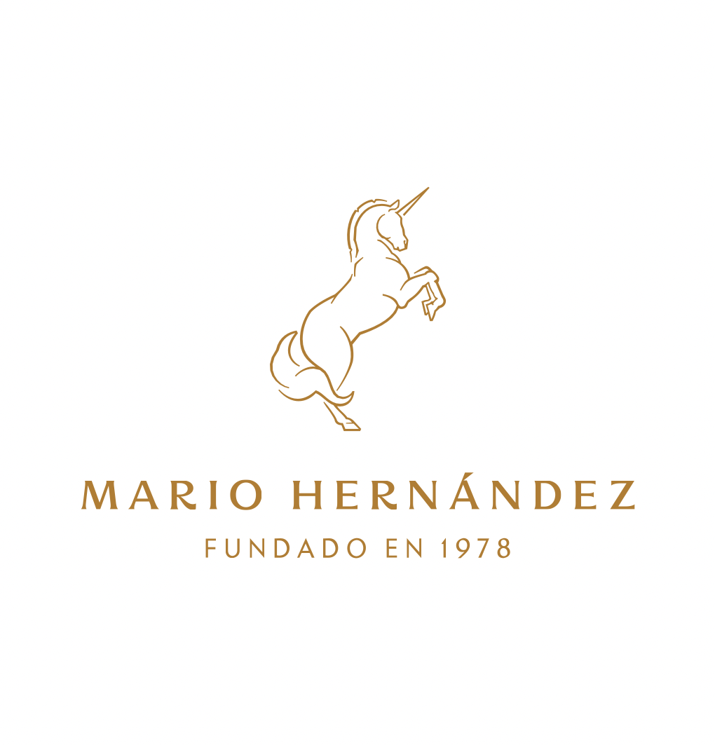 MARIO HERNANDEZ