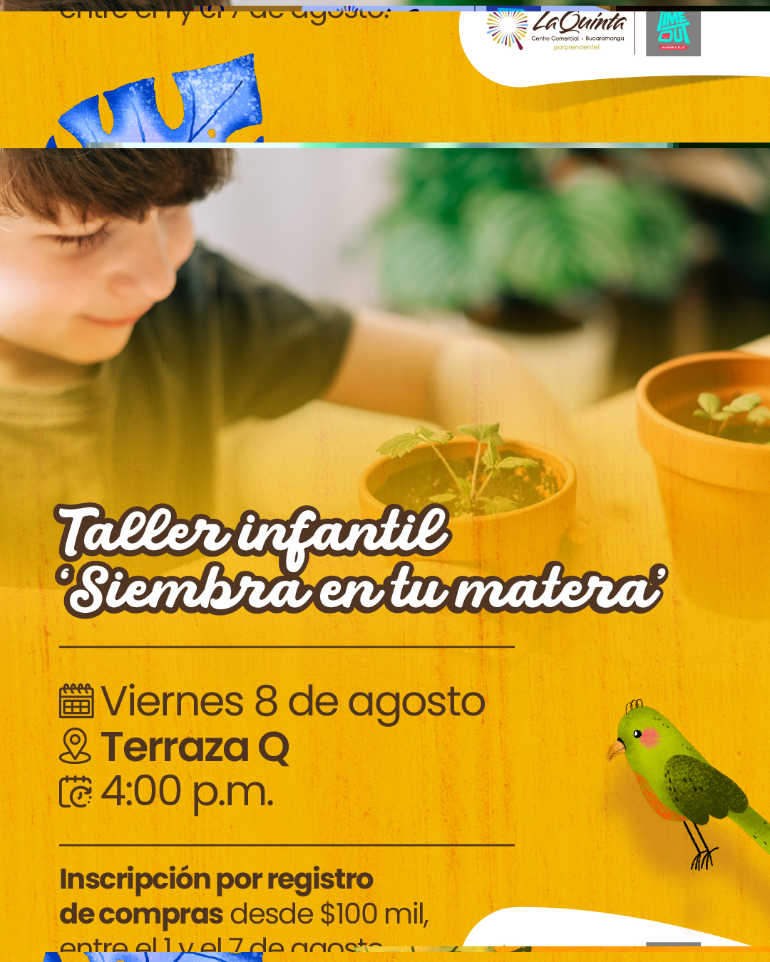 ACTIVIDAD 3